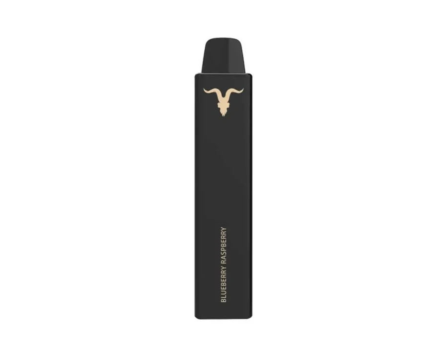 IGNITE V NANO | 1500 - BLUEBERRY RASPBERRY
